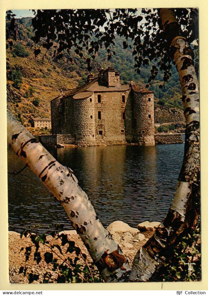 48. Le Château De Castanet Près De Villefort (voir Scan Recto/verso) - Villefort