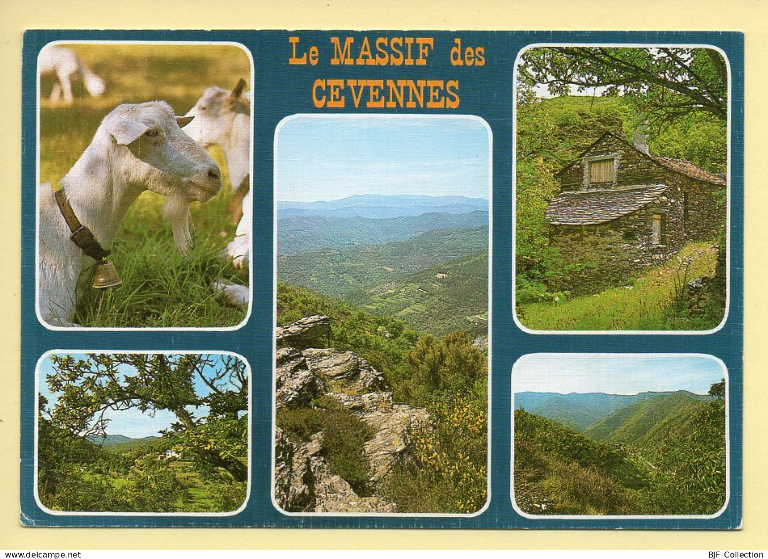 48. LE MASSIF DES CEVENNES – Multivues (voir Scan Recto/verso) - Altri & Non Classificati