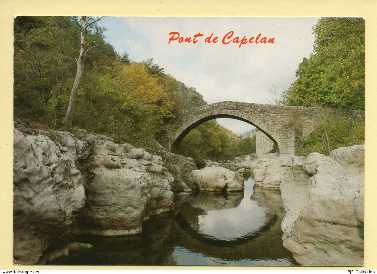 48. GORGES DE LA JONTE – Pont De Capelan (voir Scan Recto/verso) - Altri & Non Classificati