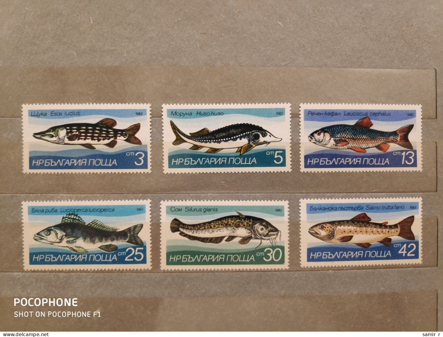 1983	Bulgaria	Fishes  (F91) - Ongebruikt