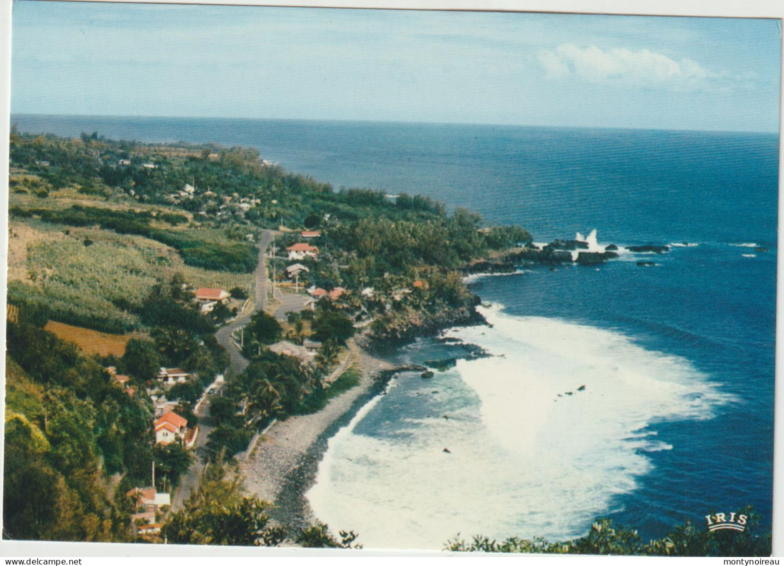 La  Réunion :  Dans Le  Sud MANAPANY - Altri & Non Classificati