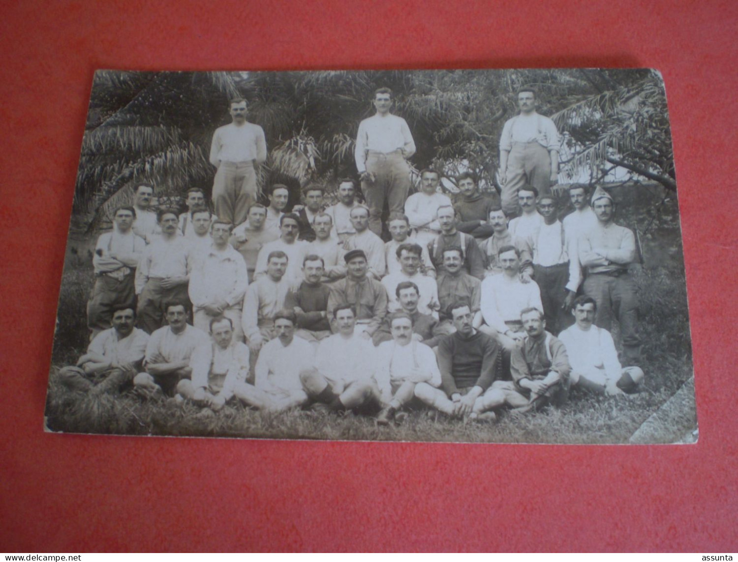 Carte Photo 40 Militaires Sous Des Palmiers, à Situer - Regiments