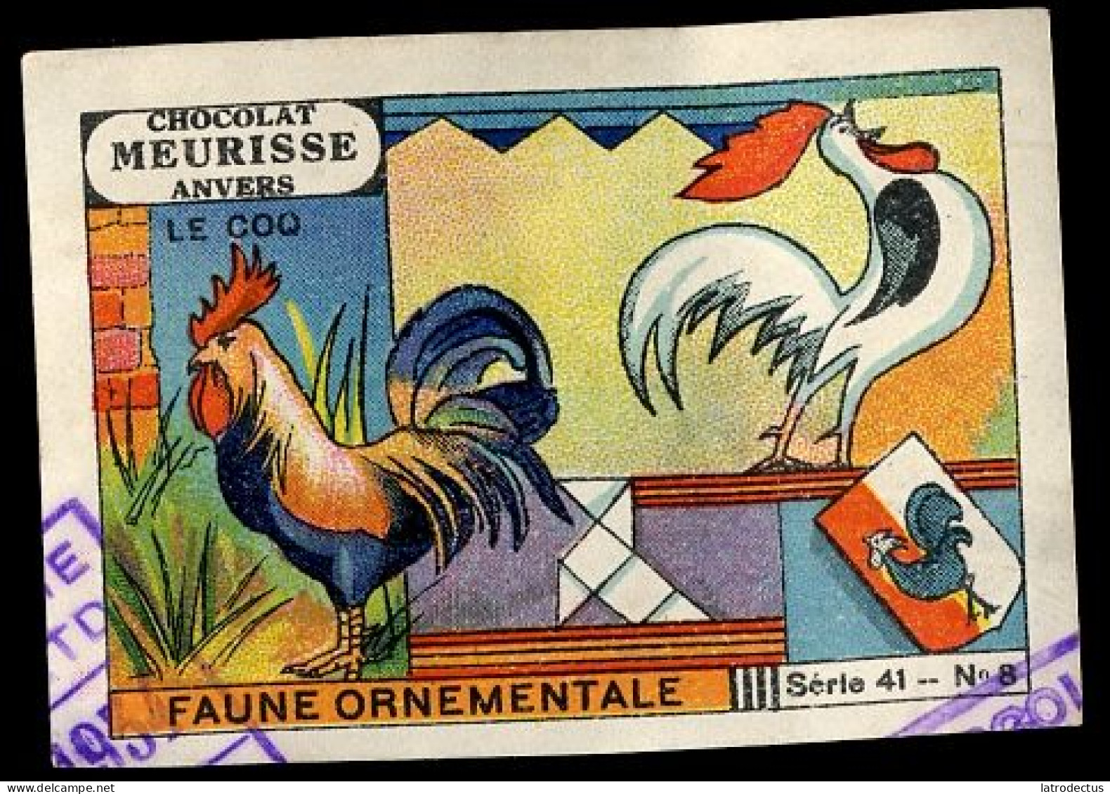 Meurisse - Ca 1930 - 41 - Le Faune Ornementale, Ornamental Fauna - 8 - Le Coq, Rooster - Autres & Non Classés