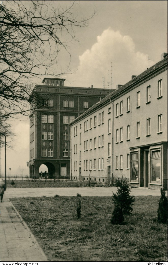 Ansichtskarte Senftenberg (Niederlausitz) Straße 1963 - Senftenberg