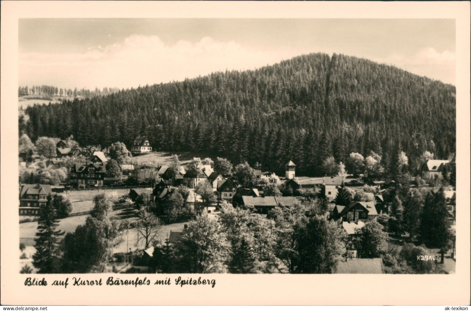 Bärenfels (Erzgebirge)-Altenberg Panorama Dorf Partie Mit Spitzberg 1961 - Altenberg