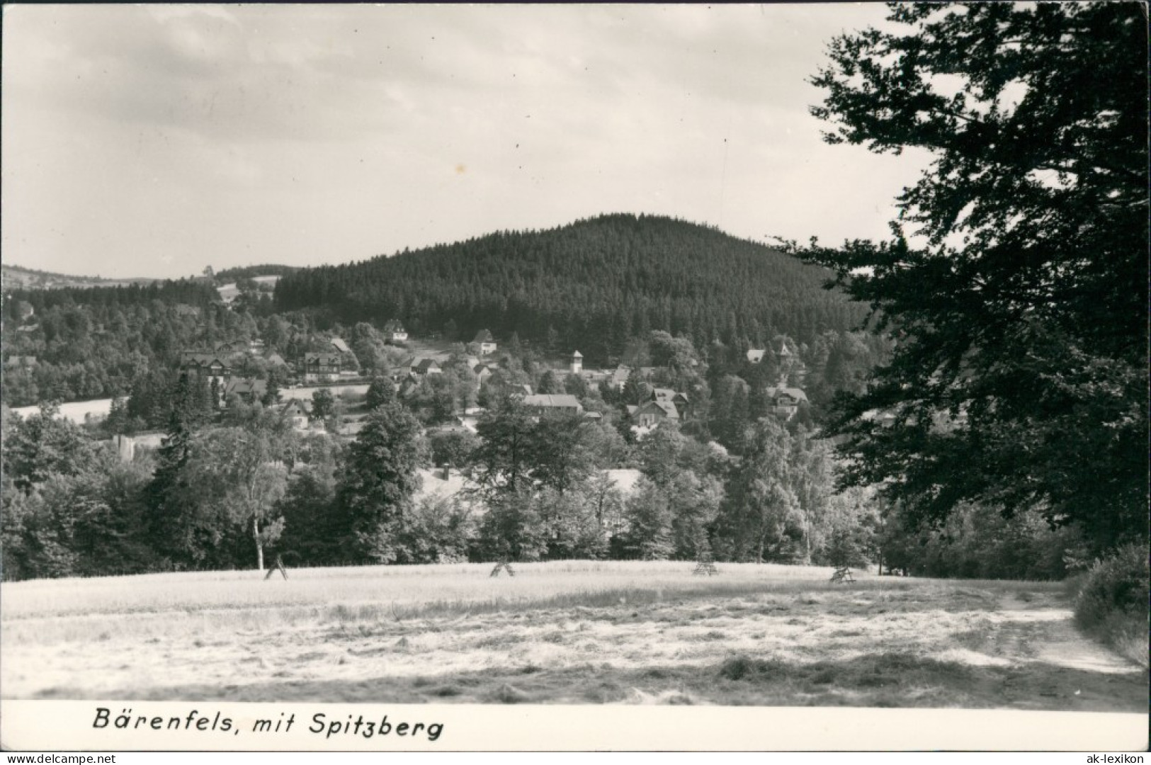 Bärenfels (Erzgebirge)-Altenberg (Erzgebirge) Panorama-Ansicht  Postkarte 1974 - Altenberg