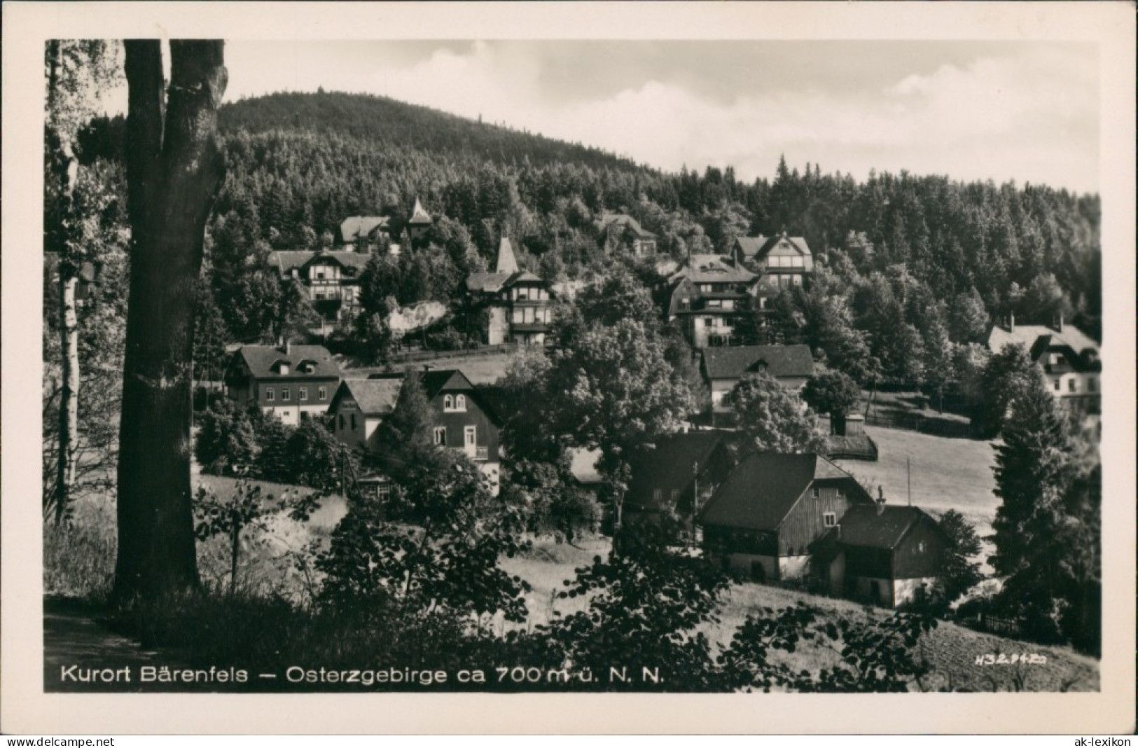 Bärenfels (Erzgebirge)-Altenberg (Erzgebirge) Panorama  Wohnhäuser 1954 - Altenberg