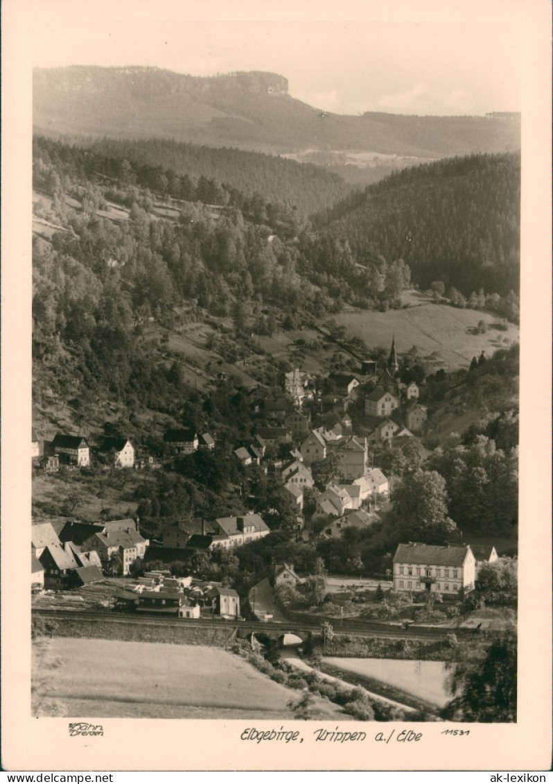 Ansichtskarte Krippen-Bad Schandau Bahnstrecke 1952 Walter Hahn:11531 - Bad Schandau