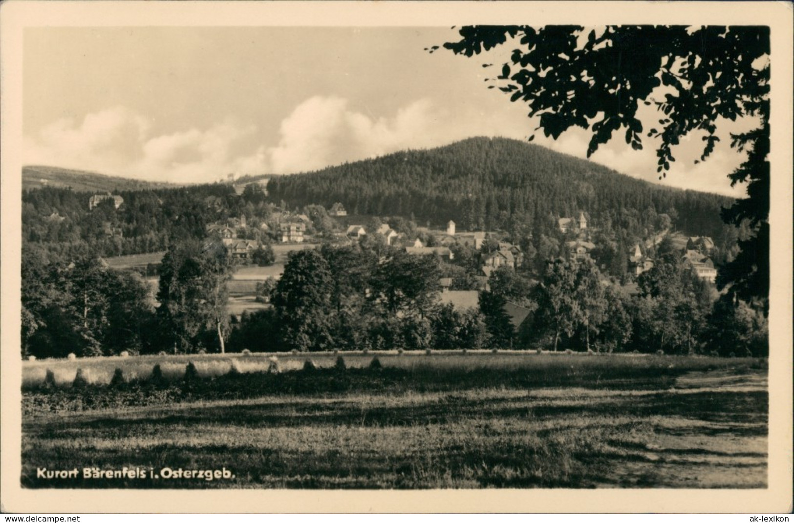 Bärenfels (Erzgebirge)-Altenberg   Umland-Ansicht DDR Postkarte 1956 - Altenberg