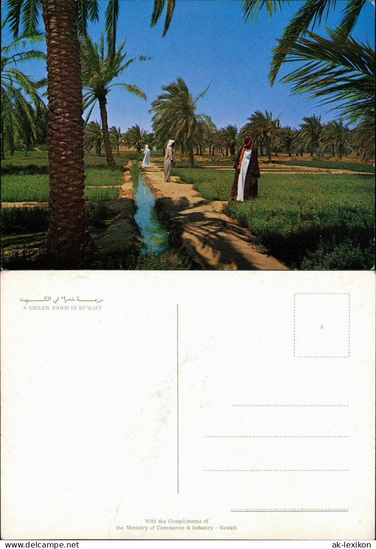 Kuwait-Stadt الكويت A GREEN FARM IN KUWAITالكويت 1971 - Koeweit