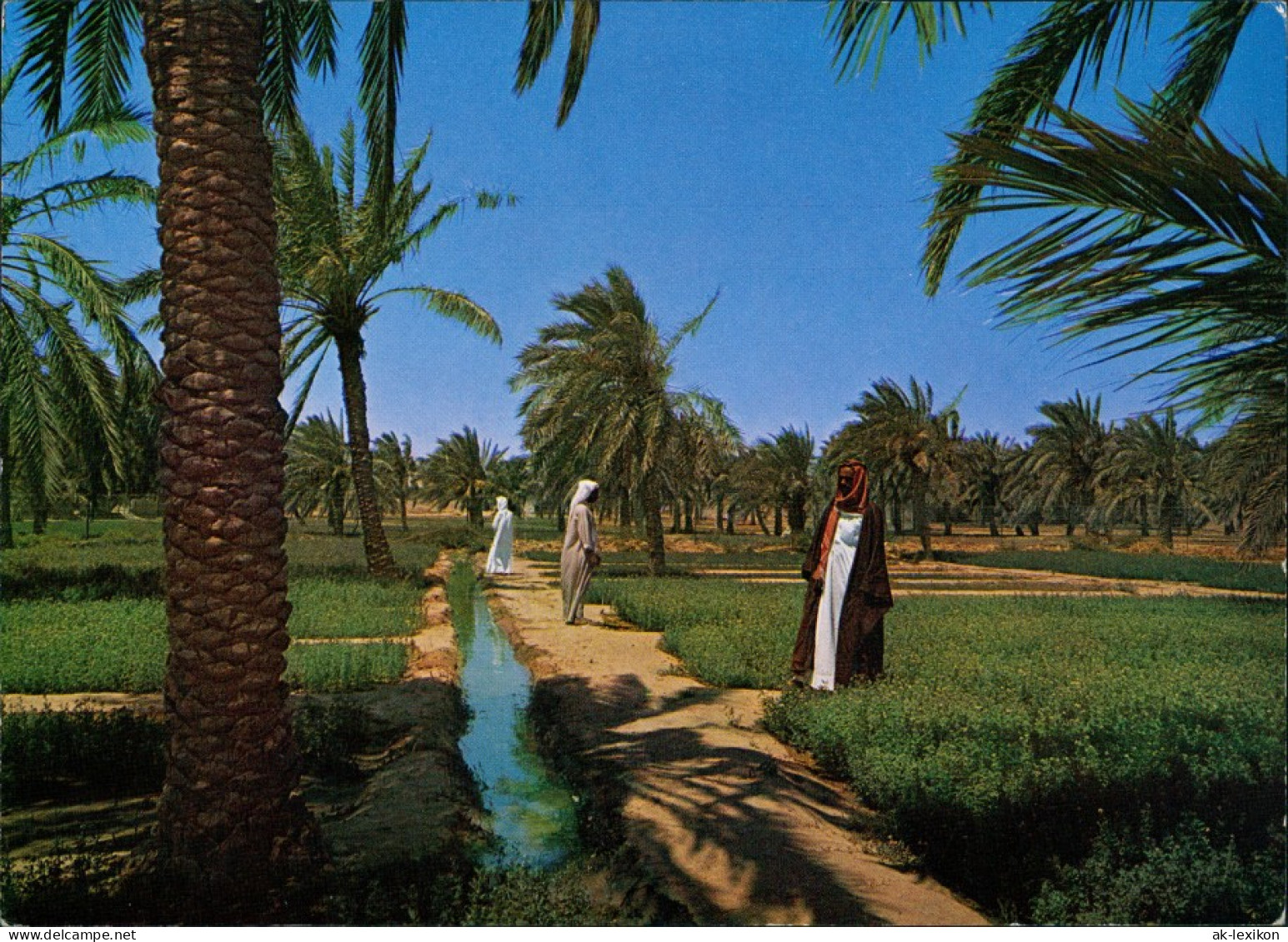 Kuwait-Stadt الكويت A GREEN FARM IN KUWAITالكويت 1971 - Koeweit