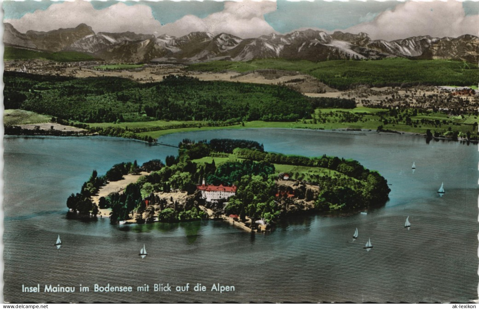 Ansichtskarte Konstanz Insel Mainau Bodensee Und Alpen Panorama 1962 - Konstanz