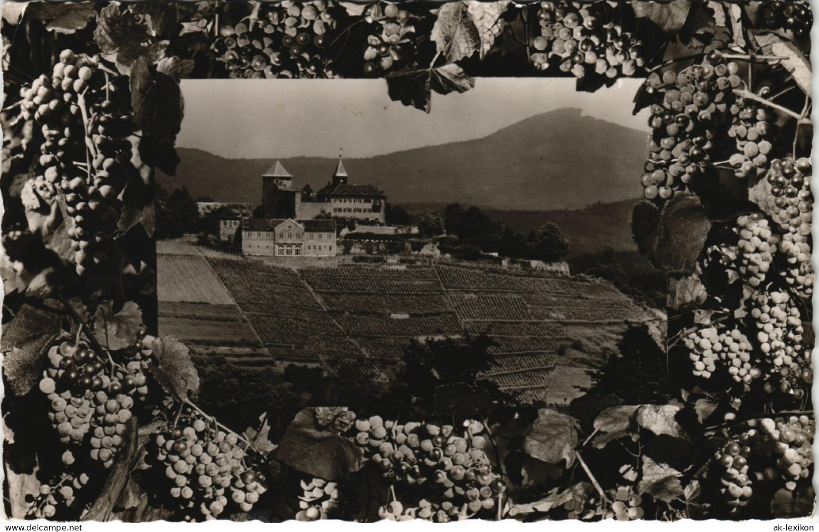 Gernsbach Schloss Eberstein Im Murgtal, Wein-Weinbau-Motive 1961 - Gernsbach