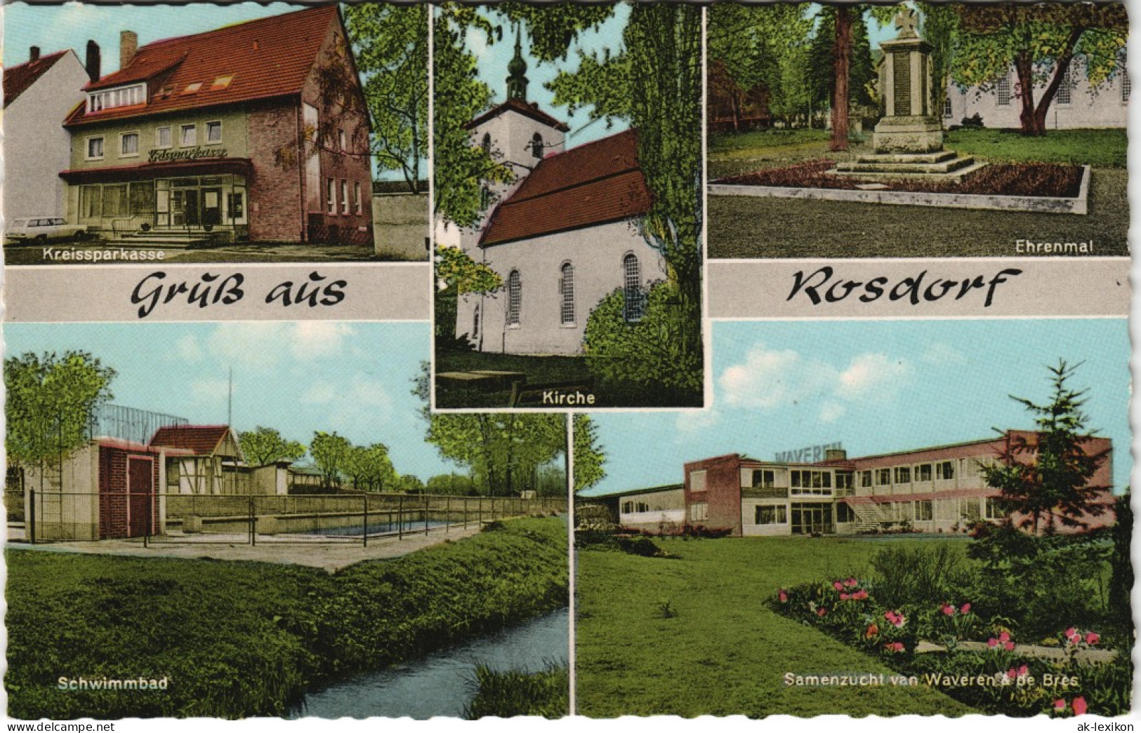 Rosdorf Mehrbild-AK Rosdorf Sparkasse, Ehrenmal, Schwimmbad, Samenzucht 1960 - Autres & Non Classés