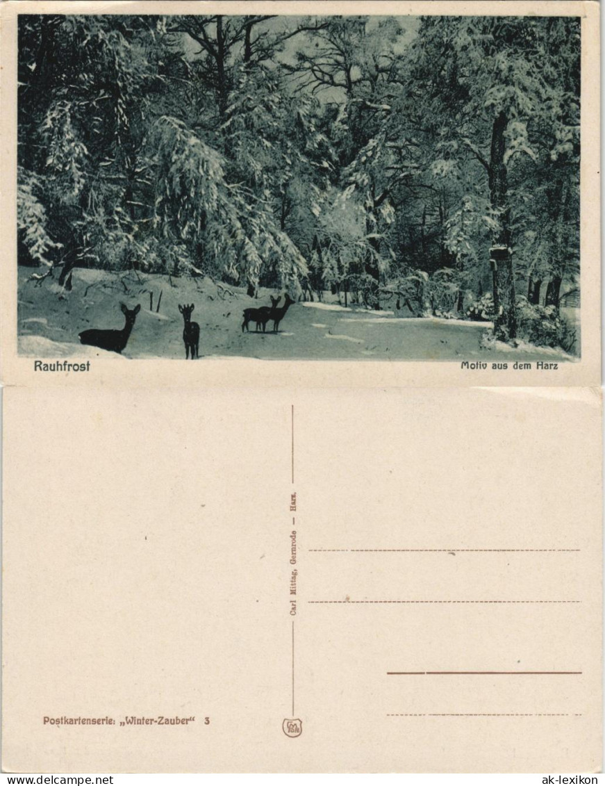 Ansichtskarte  Rauhfrost Motiv Aus Dem Harz, Tiere Im Wald 1910 - Unclassified