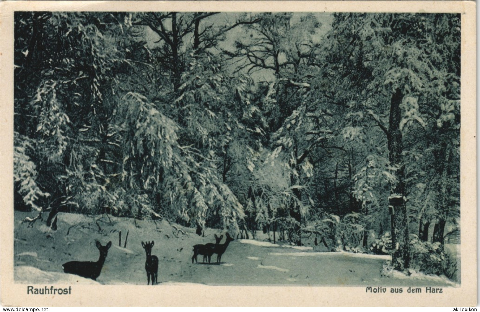 Ansichtskarte  Rauhfrost Motiv Aus Dem Harz, Tiere Im Wald 1910 - Non Classés