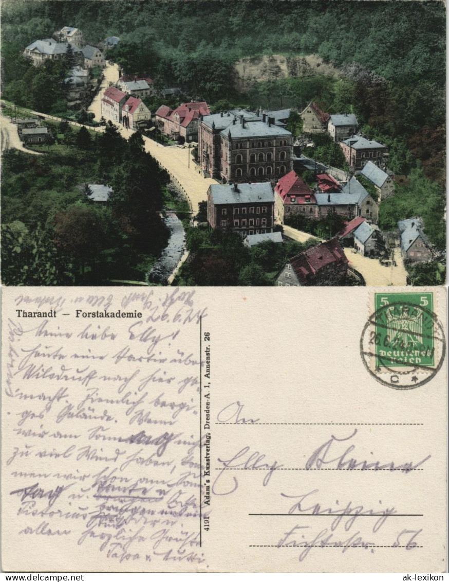 Ansichtskarte Tharandt Forstakademie - Straße, Coloriert 1924 - Tharandt