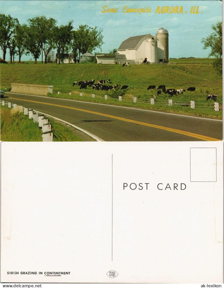 Postcard Aurora Farm Landscape Weidende Kühe (Cows); USA 1960 - Other & Unclassified