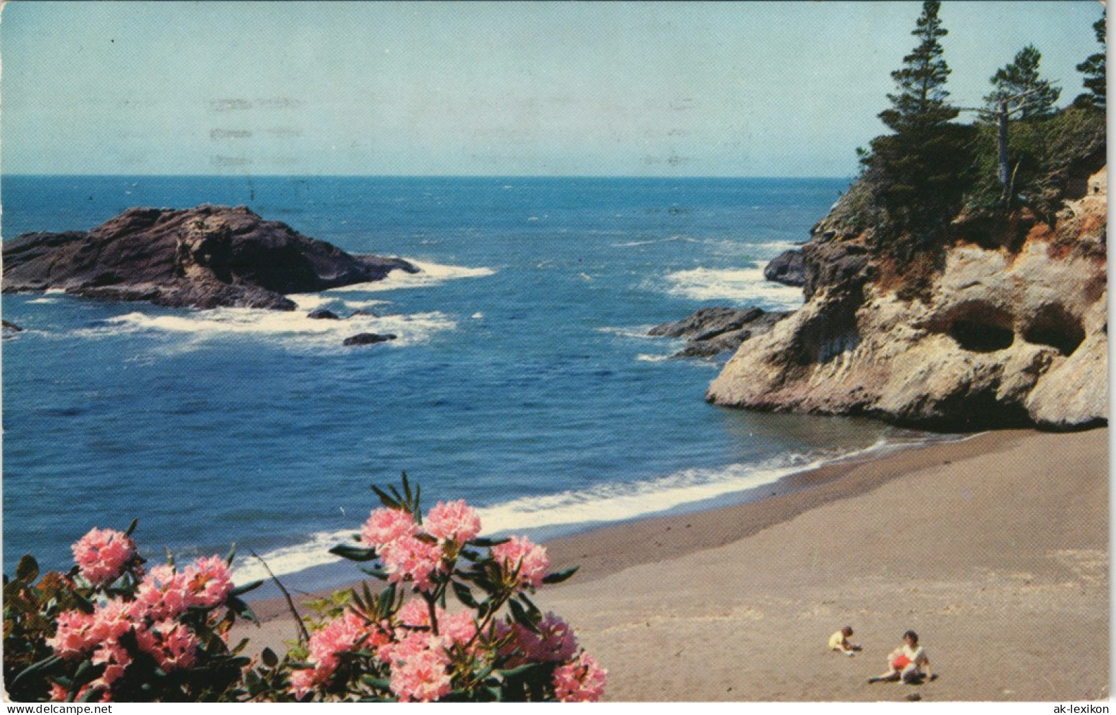 Washington (State) PACIFIC OCEAN SEACOAST Washington State USA 1960 - Andere & Zonder Classificatie