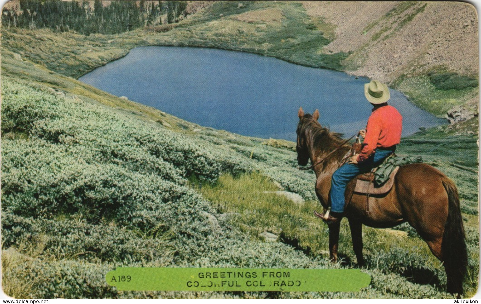 Colorado Ansichten Allgemein Cowboy With Horse (zu Pferd) In Colorado USA 1970 - Other & Unclassified