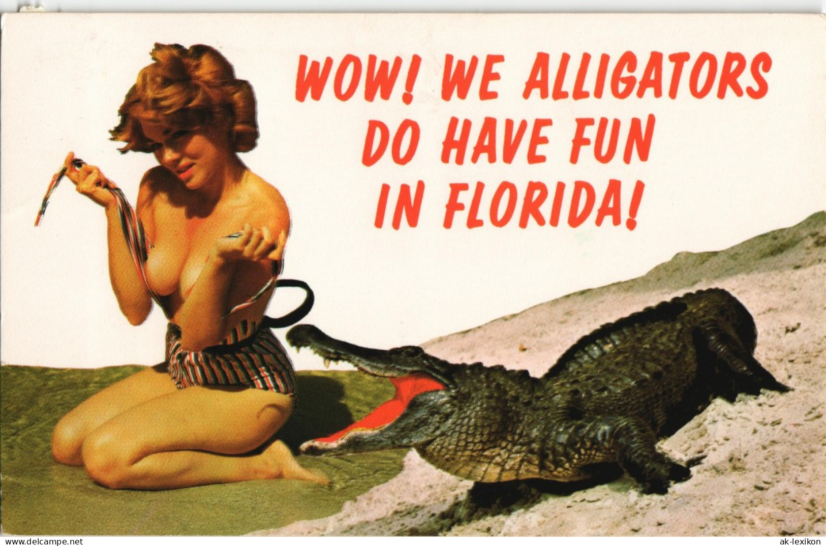 Postcard Florida Alligator In Florida USA Frau Spielt Mit Krokodil 1976 - Andere & Zonder Classificatie