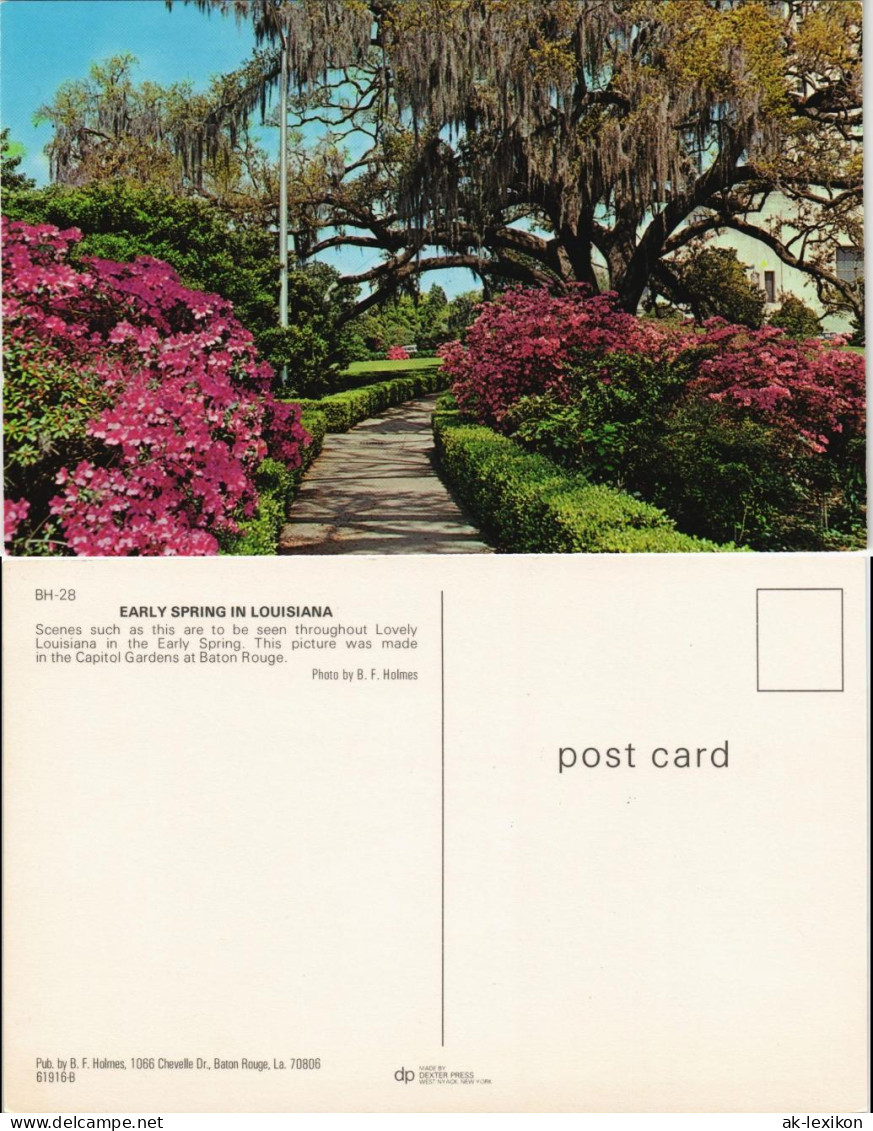 Postcard Baton Rouge EARLY SPRING IN LOUISIANA USA 1970 - Andere & Zonder Classificatie