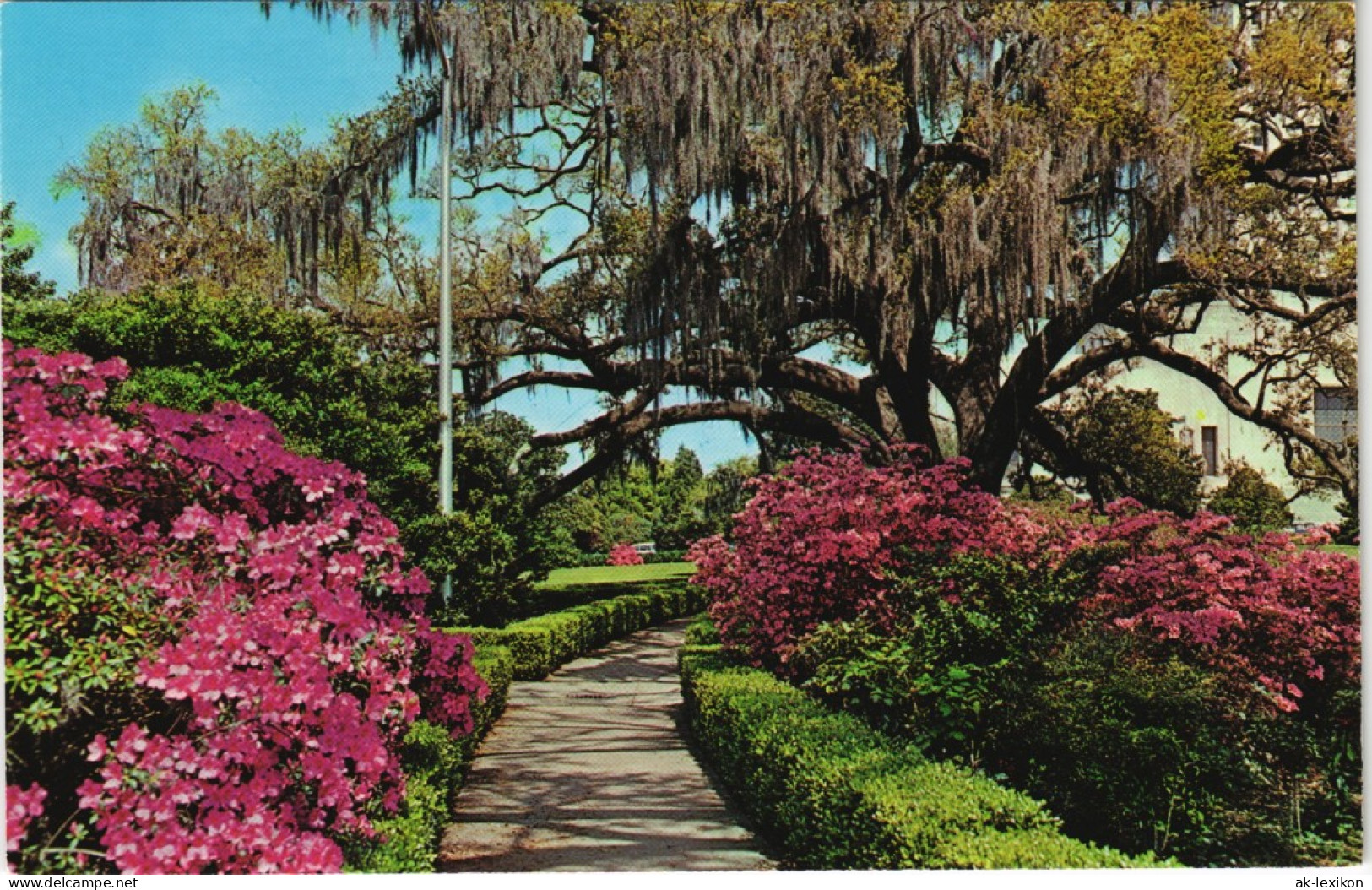 Postcard Baton Rouge EARLY SPRING IN LOUISIANA USA 1970 - Andere & Zonder Classificatie