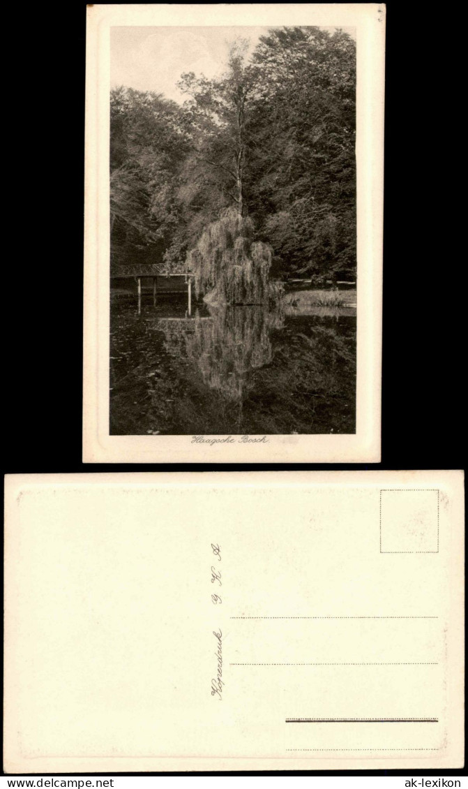 Postkaart Haagsche Bosch Haagse Bos Parkpartie 1924 - Autres & Non Classés