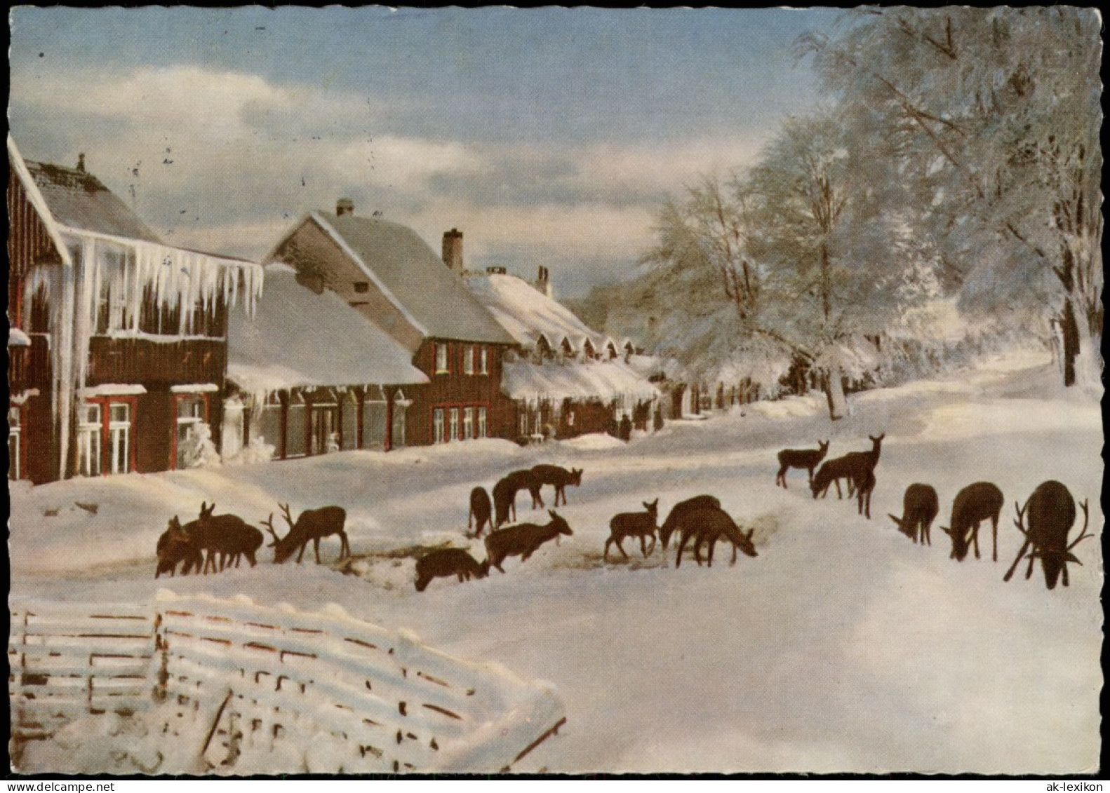 Ansichtskarte Bad Harzburg Wildfütterung - Winter, Straße 1965 - Bad Harzburg