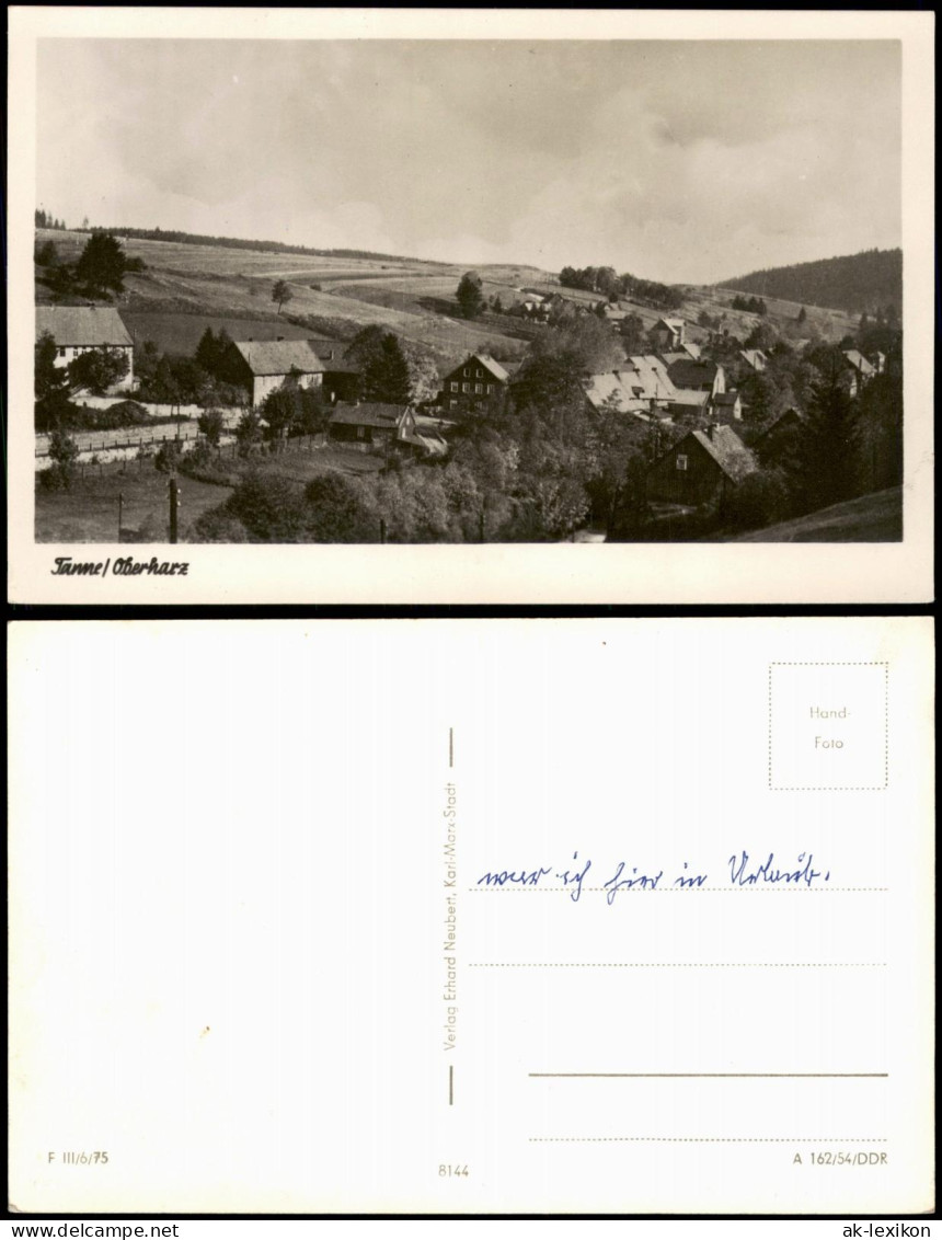 Ansichtskarte Tanne (Harz) Panorama-Anischt; Ort Im Oberharz 1954 - Altri & Non Classificati