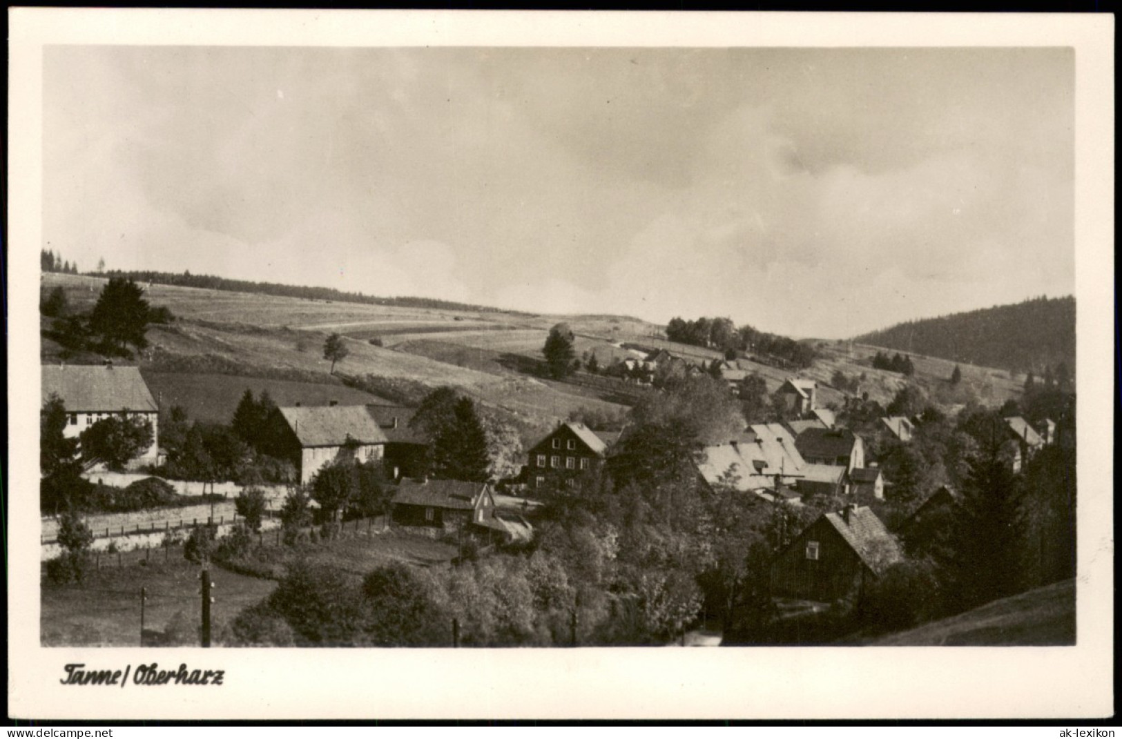 Ansichtskarte Tanne (Harz) Panorama-Anischt; Ort Im Oberharz 1954 - Altri & Non Classificati