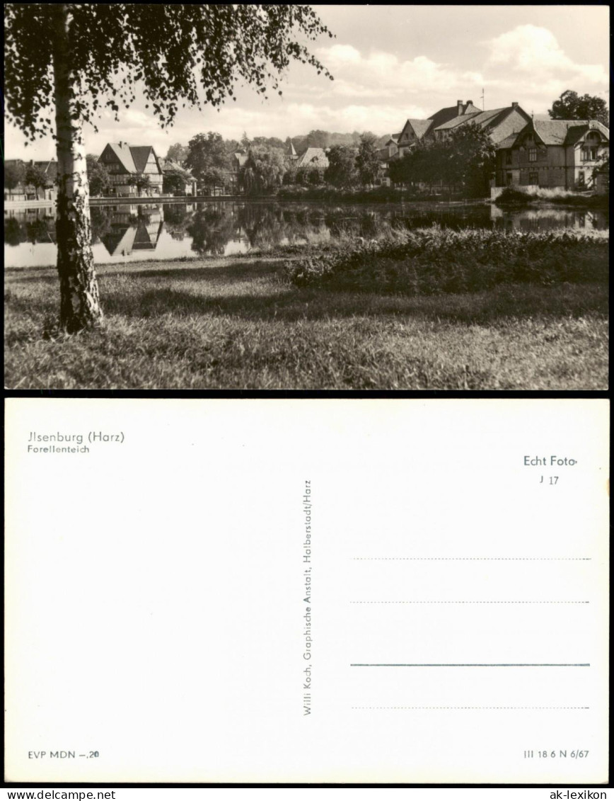 Ansichtskarte Ilsenburg (Harz) Forellenteich 1967 - Altri & Non Classificati