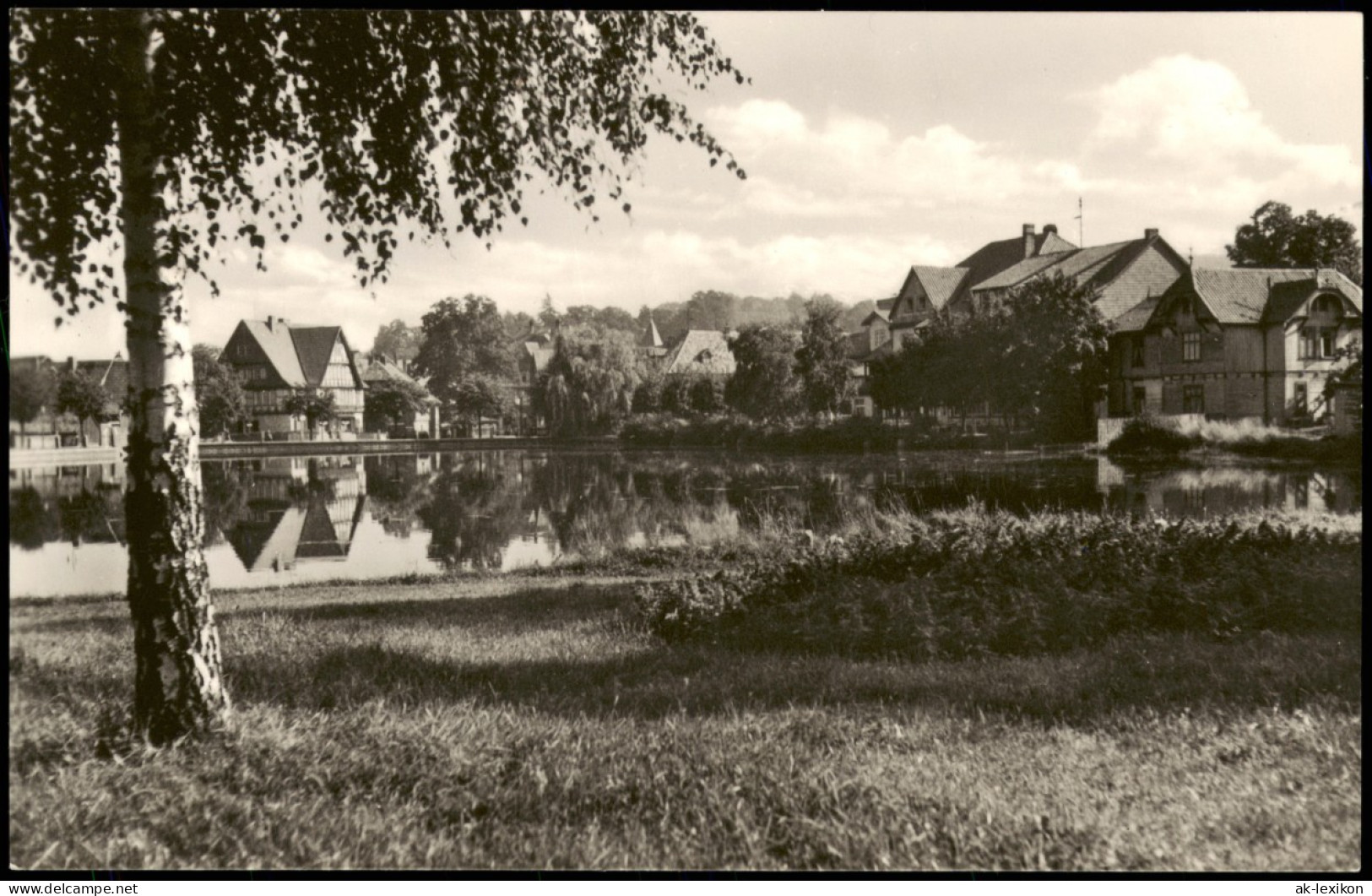 Ansichtskarte Ilsenburg (Harz) Forellenteich 1967 - Altri & Non Classificati