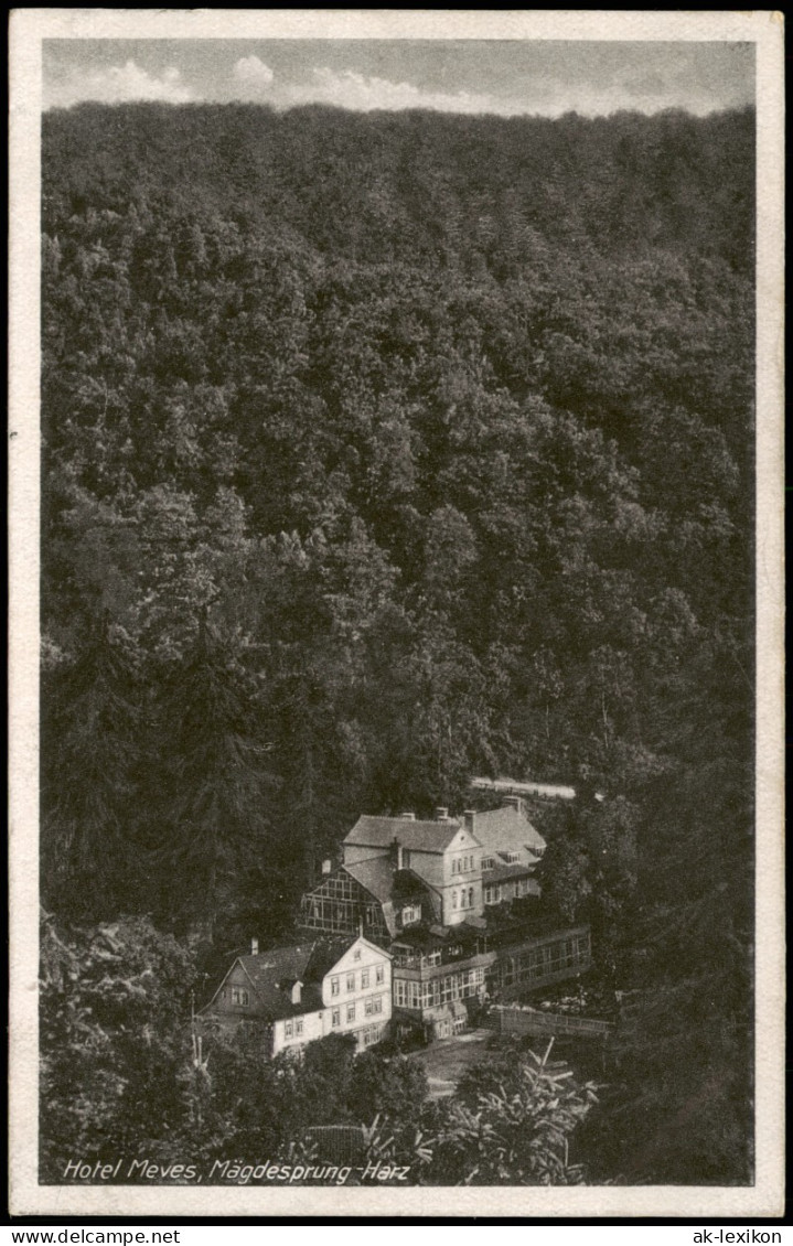 Ansichtskarte Mägdesprung-Harzgerode Partie Am Hotel Meves 1955 - Altri & Non Classificati