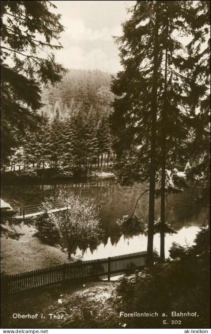 Ansichtskarte Oberhof (Thüringen) Forellenteich Am Bahnhof 1928 - Oberhof