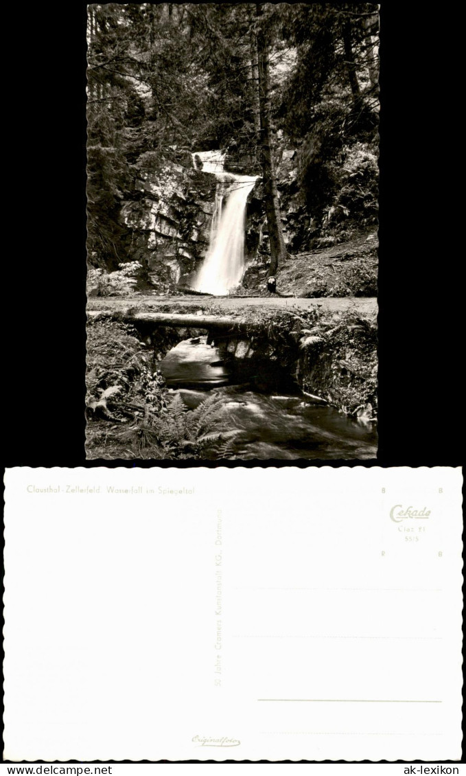 Ansichtskarte Clausthal-Zellerfeld Wasserfall Im Spiegeltol 1955 - Clausthal-Zellerfeld