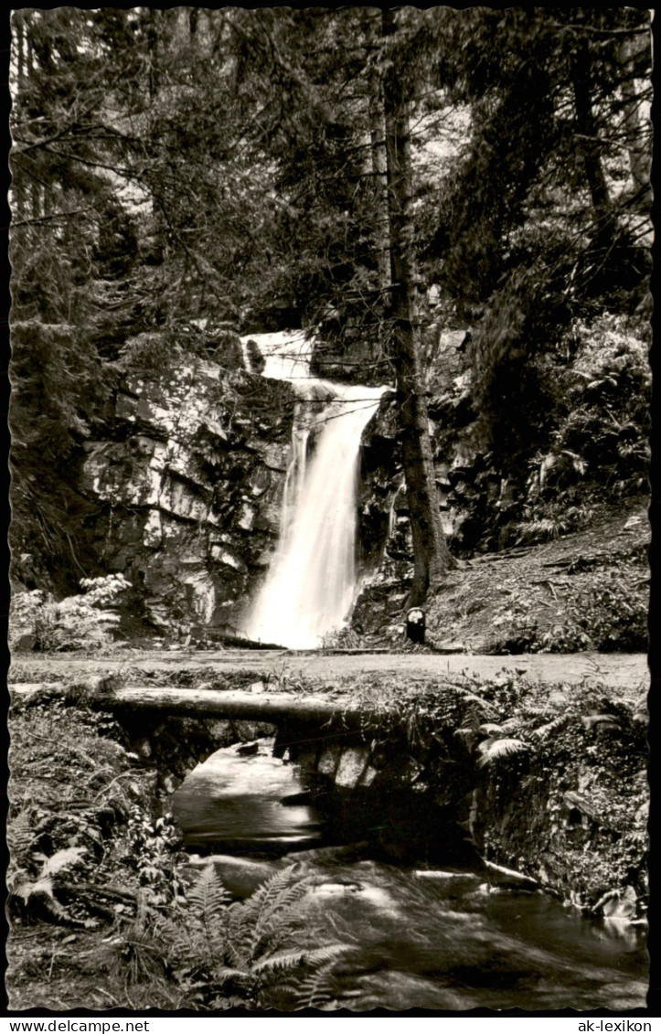 Ansichtskarte Clausthal-Zellerfeld Wasserfall Im Spiegeltol 1955 - Clausthal-Zellerfeld