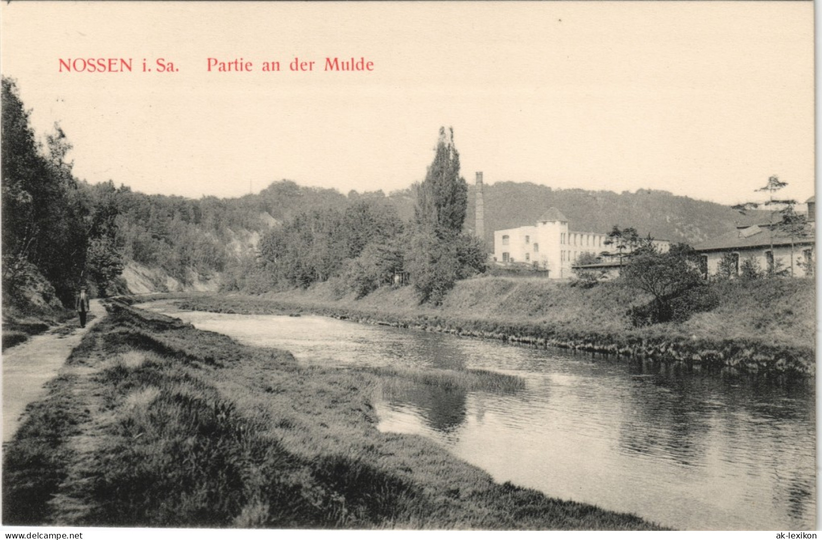 Ansichtskarte Nossen Muldenpartie - Fabrik 1916 - Nossen