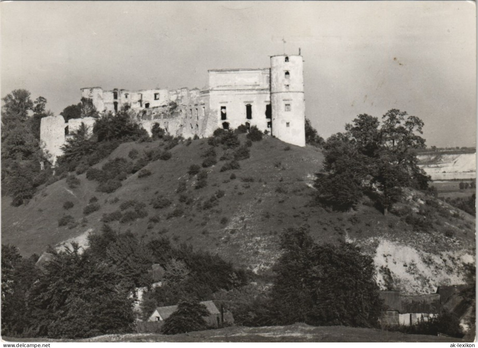 Kesselsdorf Janowiec (Babimost) Ruiny Zamku Firlejów Burg Ruine 1969 - Neumark