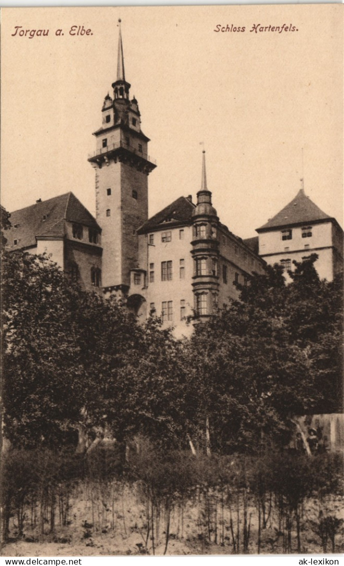 Ansichtskarte Torgau Schloss Hartenfels 1913 - Torgau