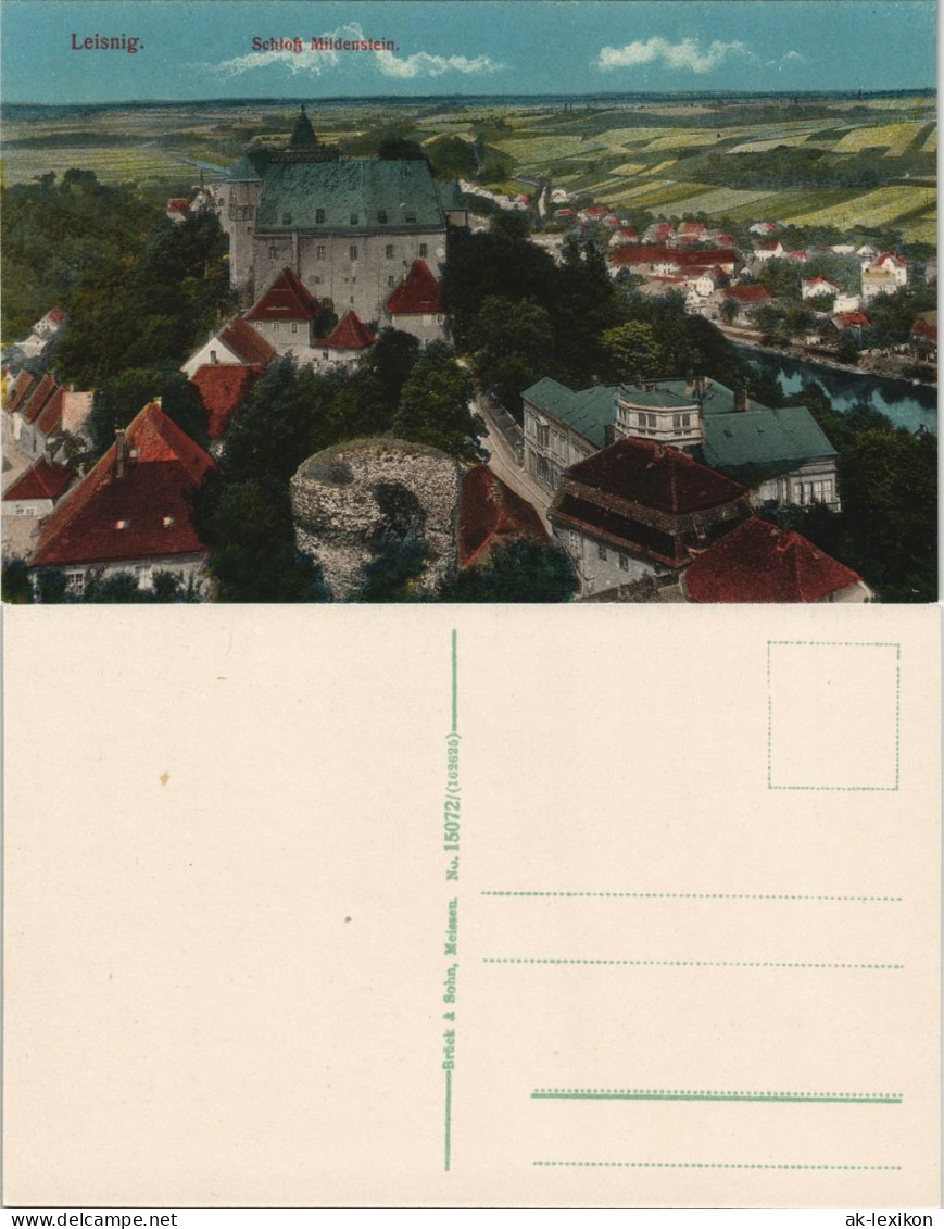 Ansichtskarte Leisnig Schloss Mildenstein, Stadt 1913 - Leisnig