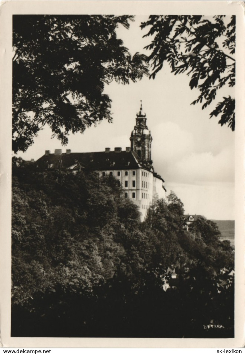 Ansichtskarte Rudolstadt Schloss Heidecksburg 1955 - Rudolstadt