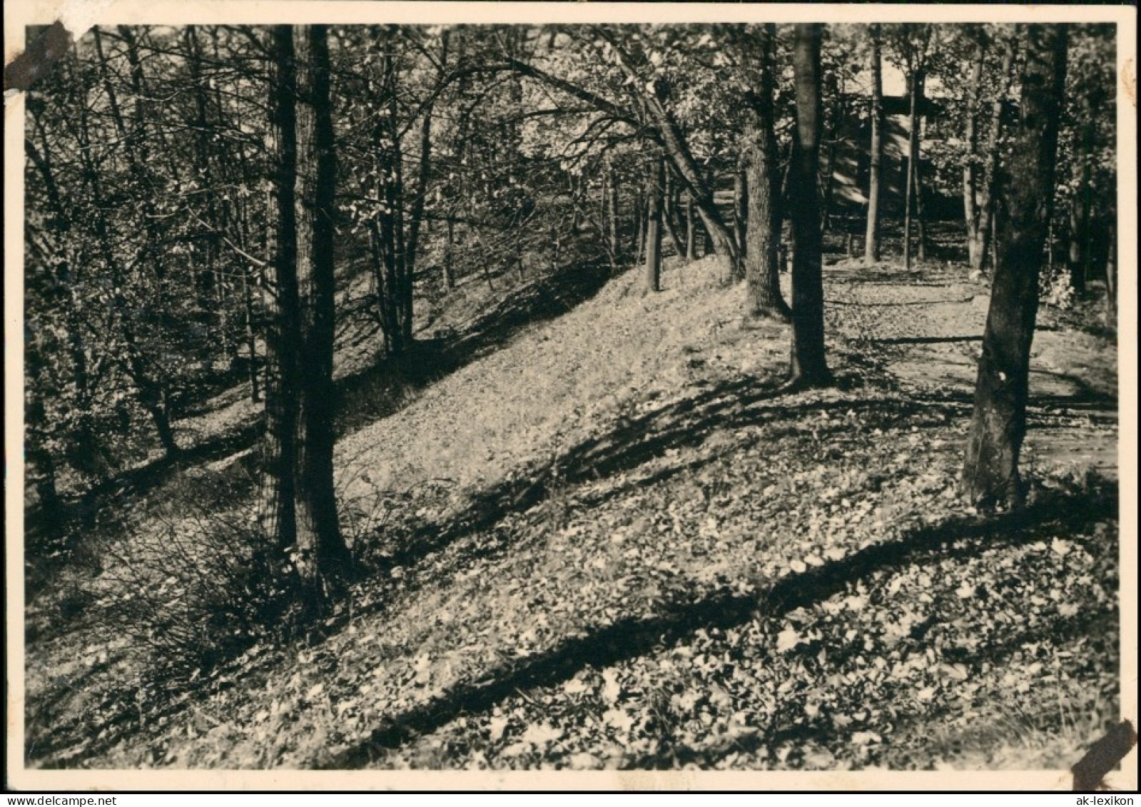 Danzig Gdańsk/Gduńsk Waldpartie, Oberhofgebäude 1926 Privatfoto Foto - Danzig