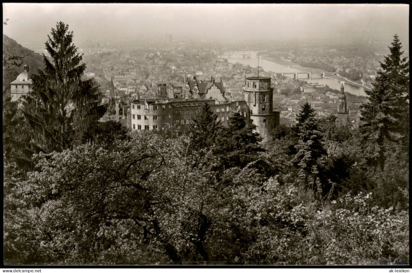 Ansichtskarte Heidelberg Panorama-Ansicht Schloss Und Blick Zur Stadt 1950 - Heidelberg