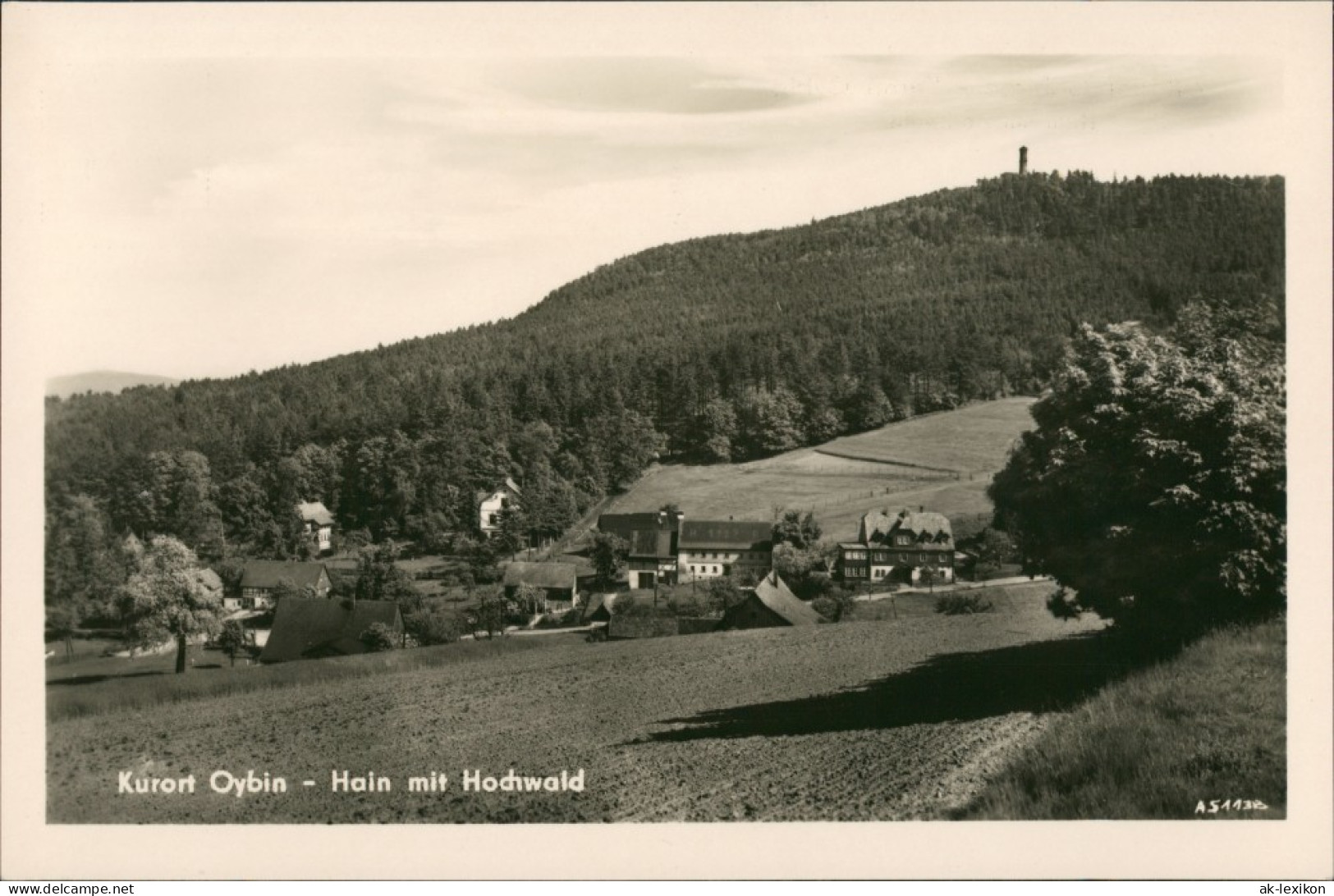 Ansichtskarte Hain-Oybin Stadt Hochwald 1955 - Oybin