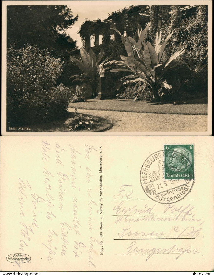 Ansichtskarte Konstanz Insel Mainau Palmen Gel Sonderstempel Meersburg 1939 - Konstanz