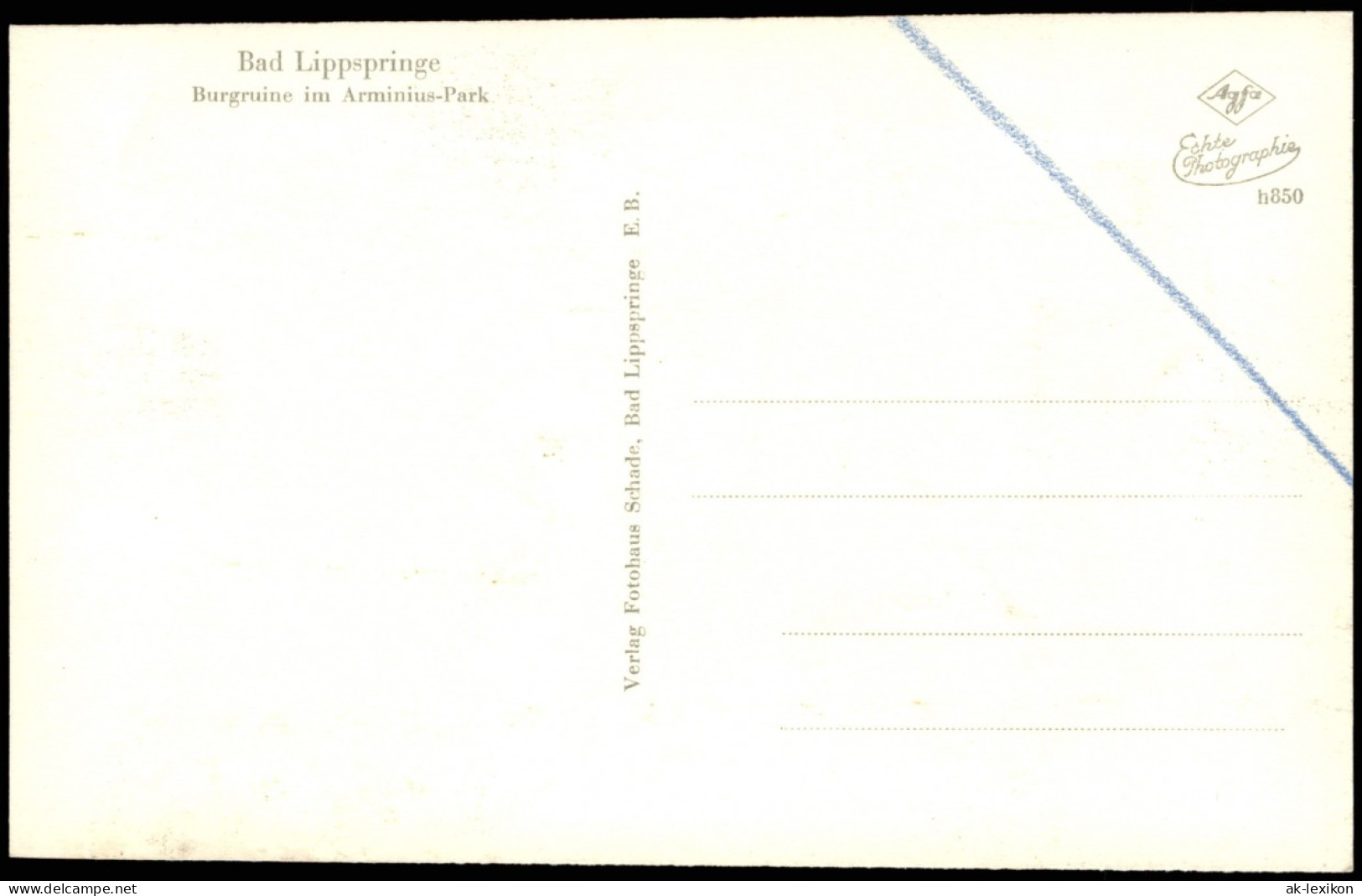 Ansichtskarte Bad Lippspringe Burgruine Im Arminius-Park 1950 - Bad Lippspringe