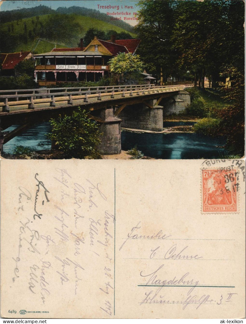 Ansichtskarte Treseburg Badebrücke Mit Hotel Forelle 1917 - Altri & Non Classificati