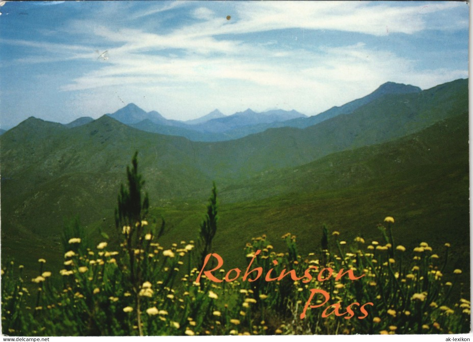 Südafrika South Africa Robinson Pass Cape Province Südafrika 1996 - Sudáfrica