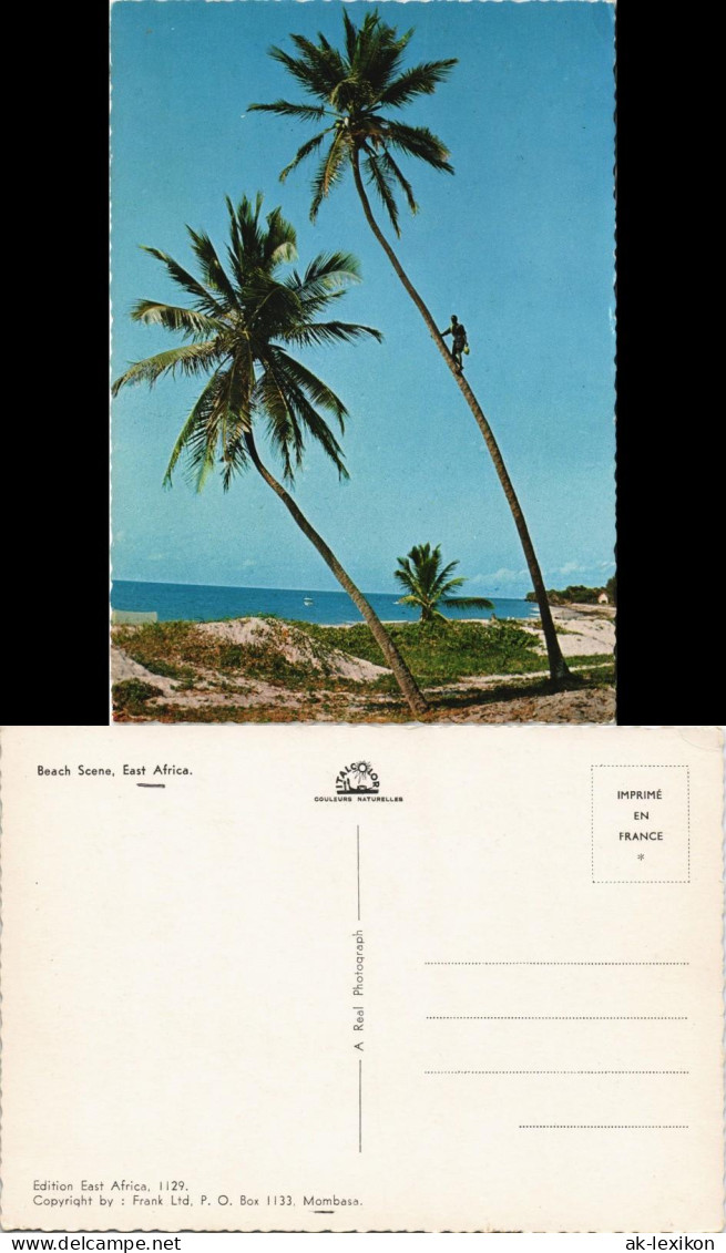 _Allgemein Beach Scene, East Africa, Palm Climbing, Palmen-Kletterer 1970 - Kenya